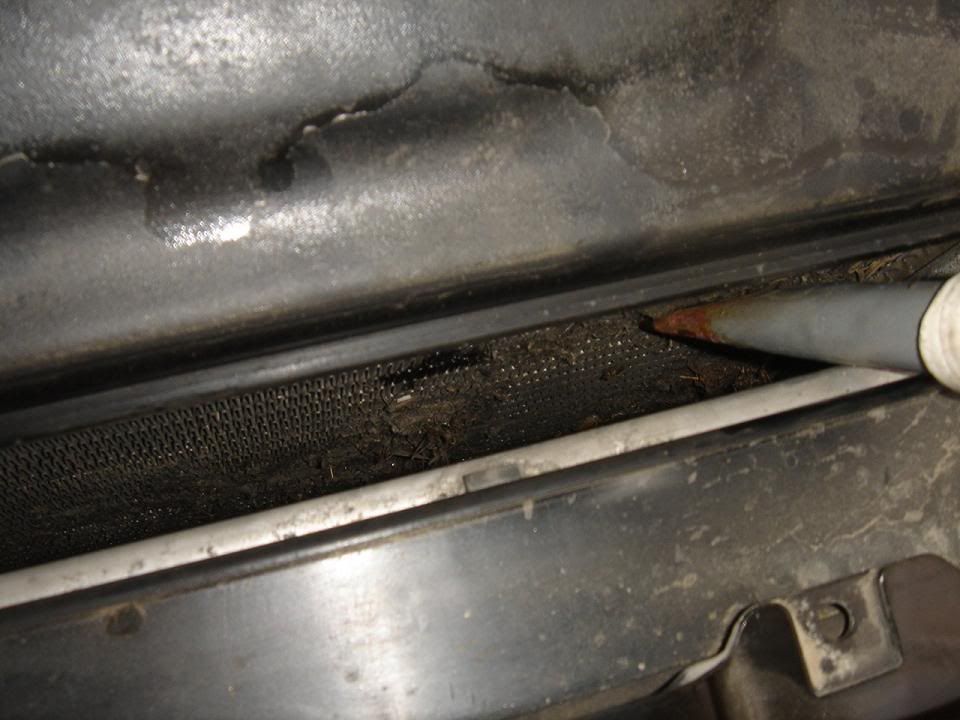 DSC07895.jpg