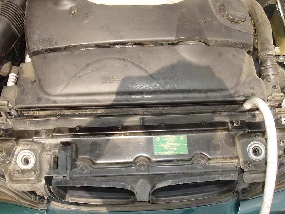 DSC07896.jpg