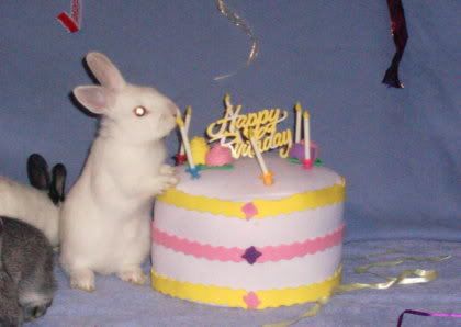 happy bunny birthday. the largest Happy+unny+