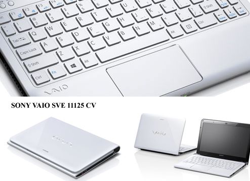 Sony Vaio SVE11125
