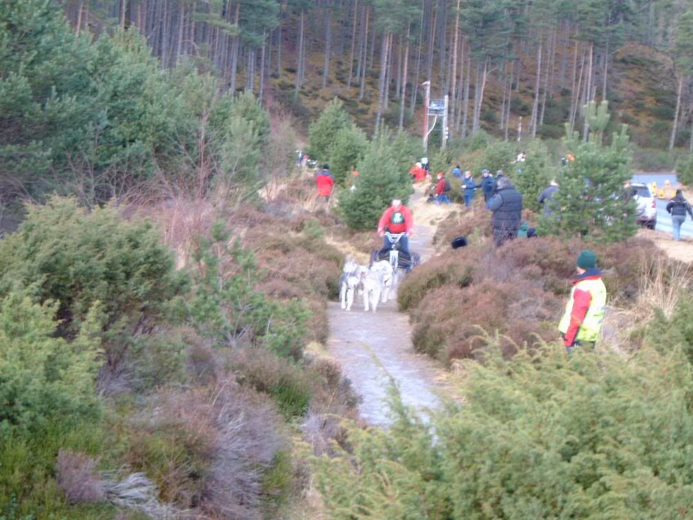 aviemore2008006.jpg