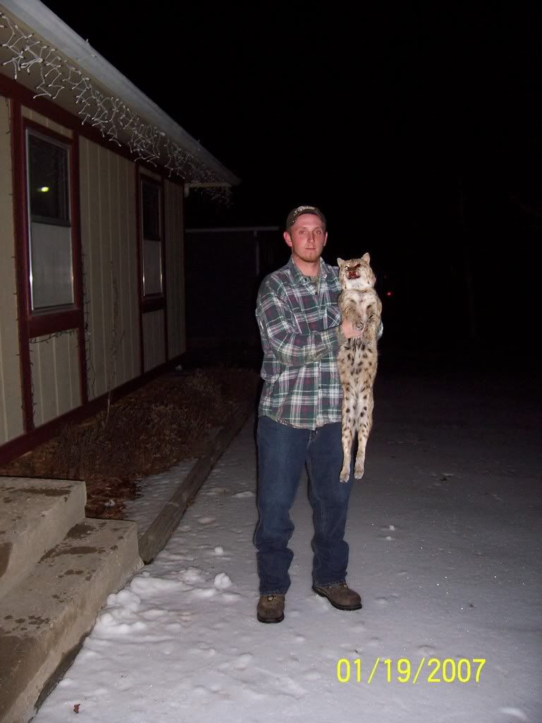 cat2002.jpg