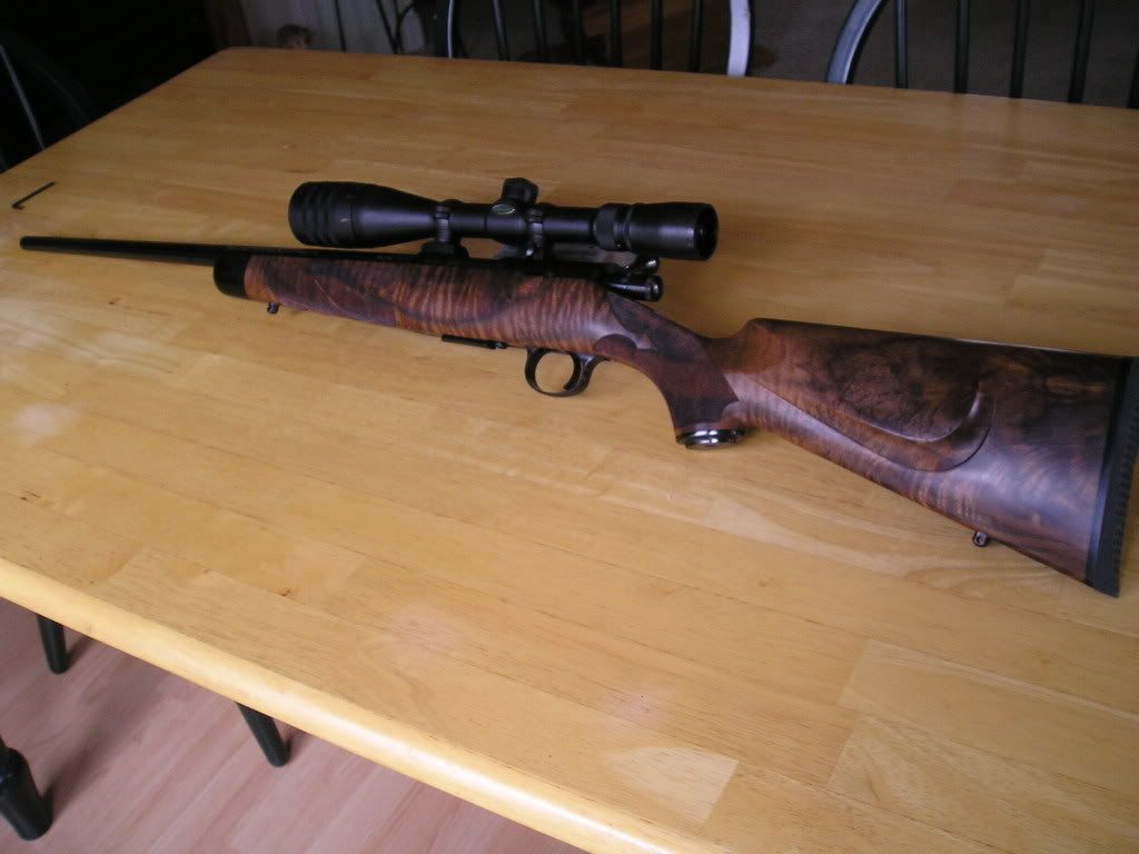 test Rimfire Central Firearm Forum