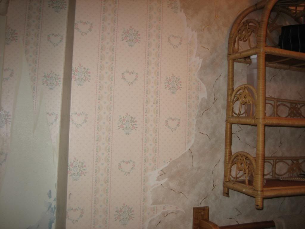 IMG_0006-1.jpg