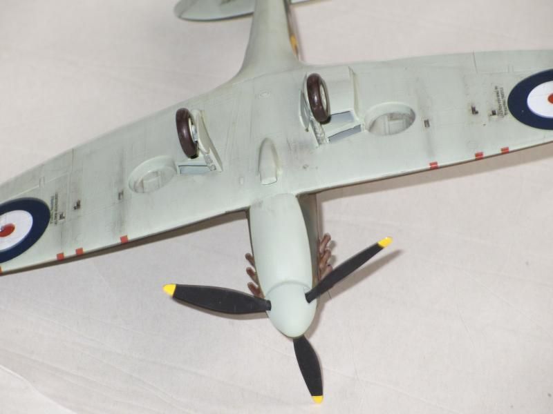 hurricane015.jpg