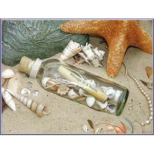 bottleshells.jpg Guest Favor image by lauraevansactress