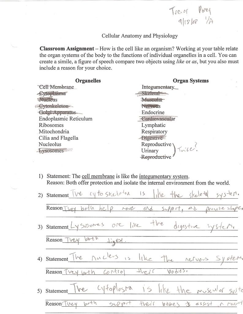 Uncategorized Simile Worksheets worksheet simile worksheets fiercebad and essay site photo by trevor raney photobucket worksheet