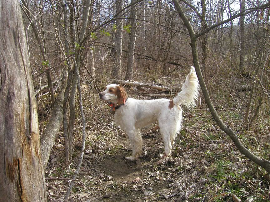CDpointing09-April.jpg