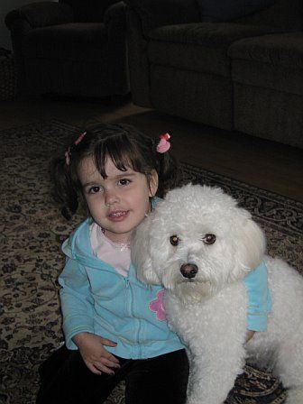 741251222703_0_ALB.jpg picture by flyer1982