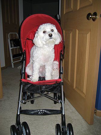 799249611703_0_ALB.jpg picture by flyer1982