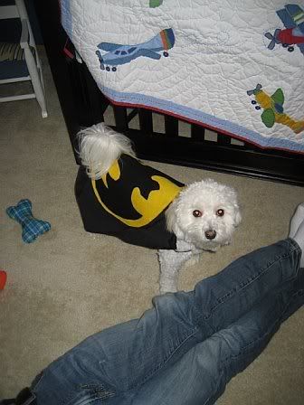 977779010703_0_ALB.jpg picture by flyer1982