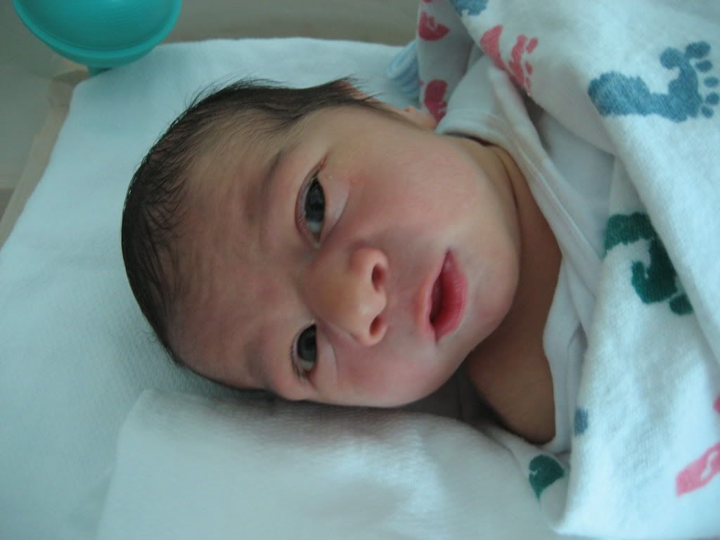 DeclansFirstDays132.jpg picture by flyer1982