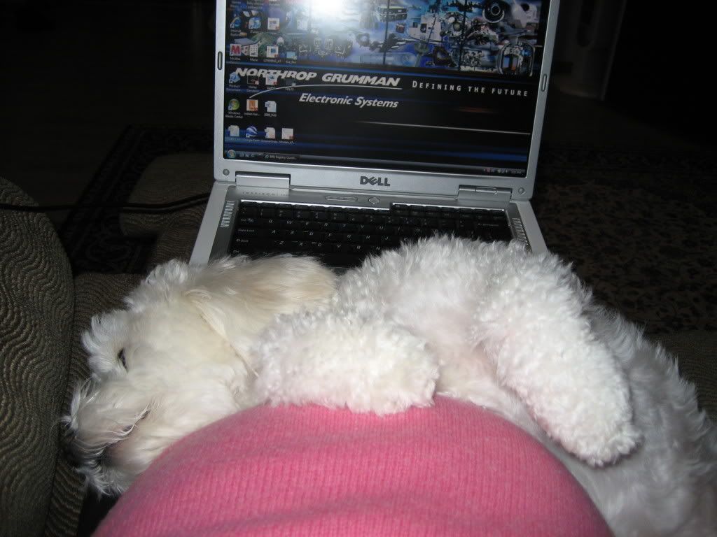 IMG_4211.jpg picture by flyer1982