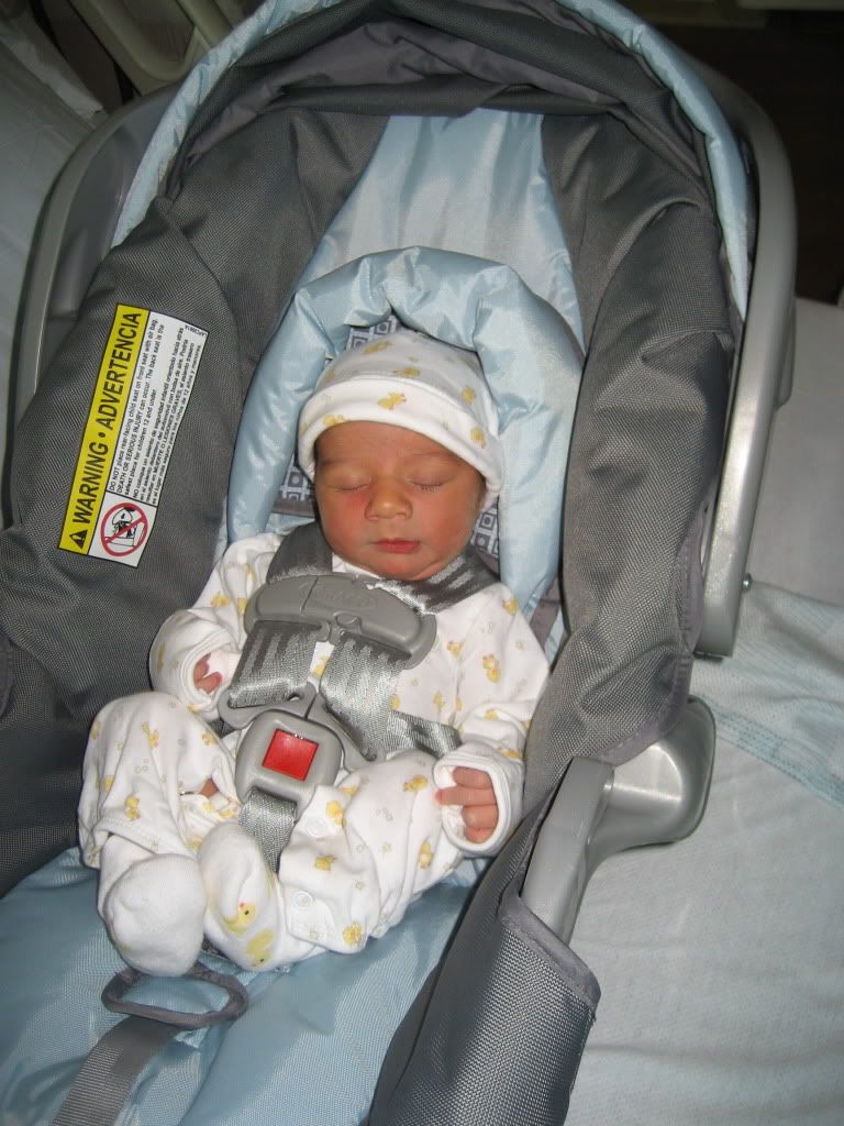 IMG_4449.jpg picture by flyer1982