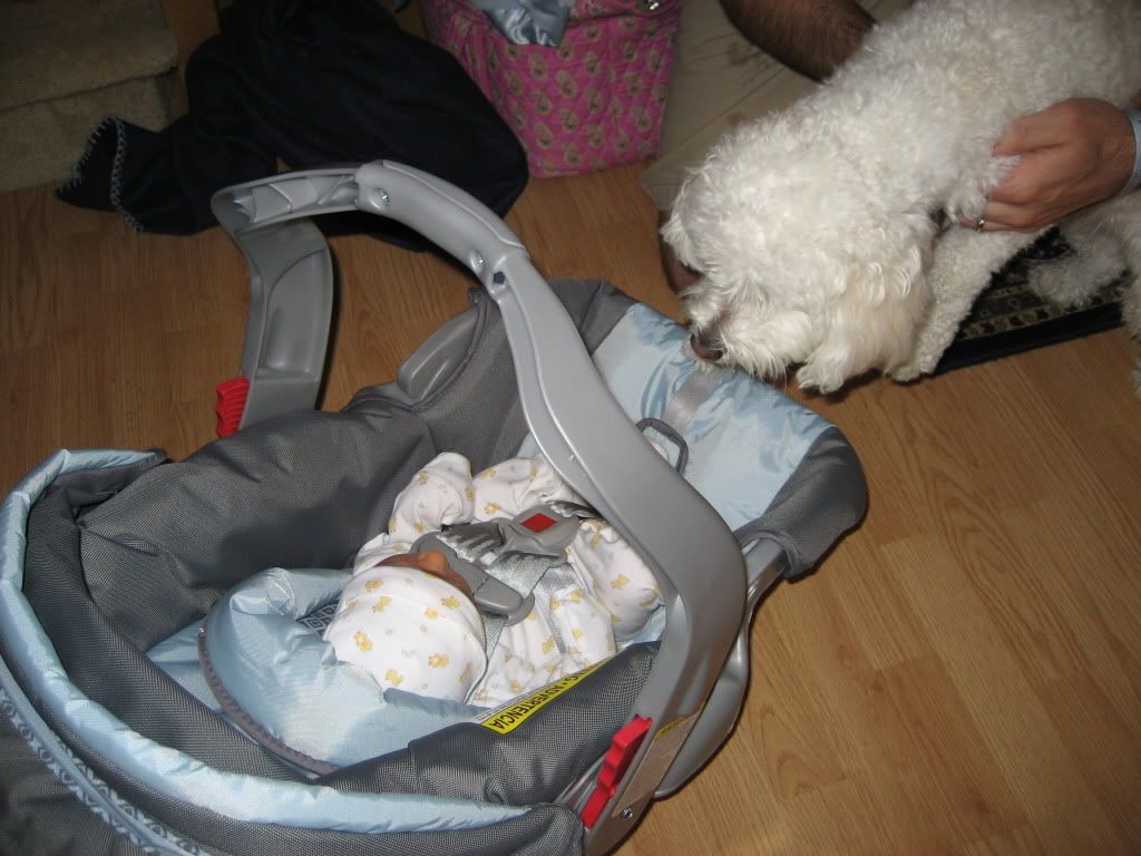 IMG_4464.jpg picture by flyer1982