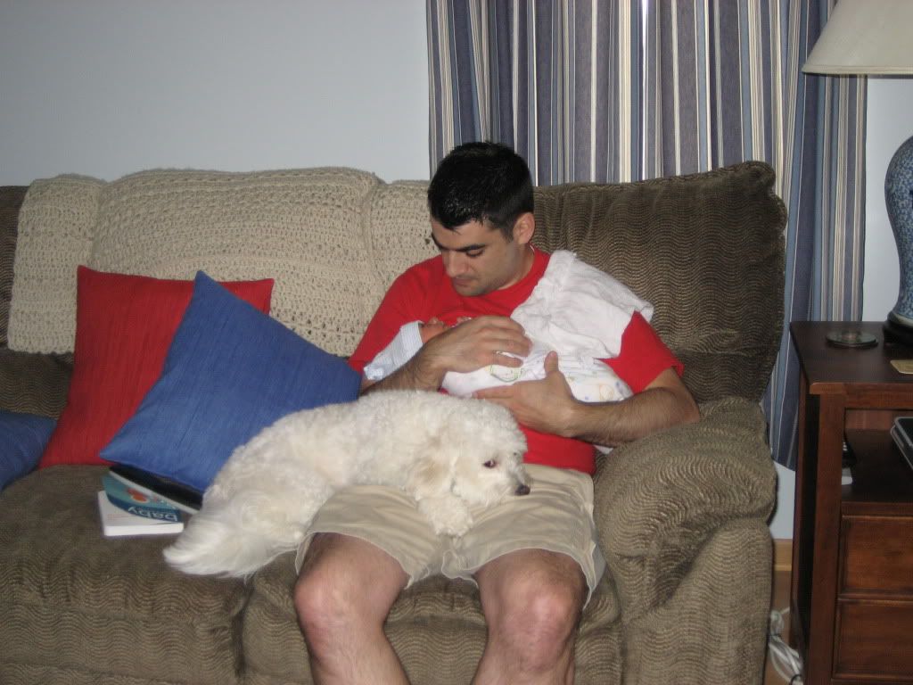 IMG_4475.jpg picture by flyer1982