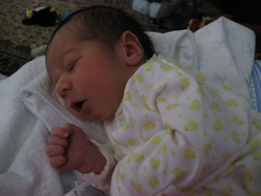 IMG_4483.jpg picture by flyer1982