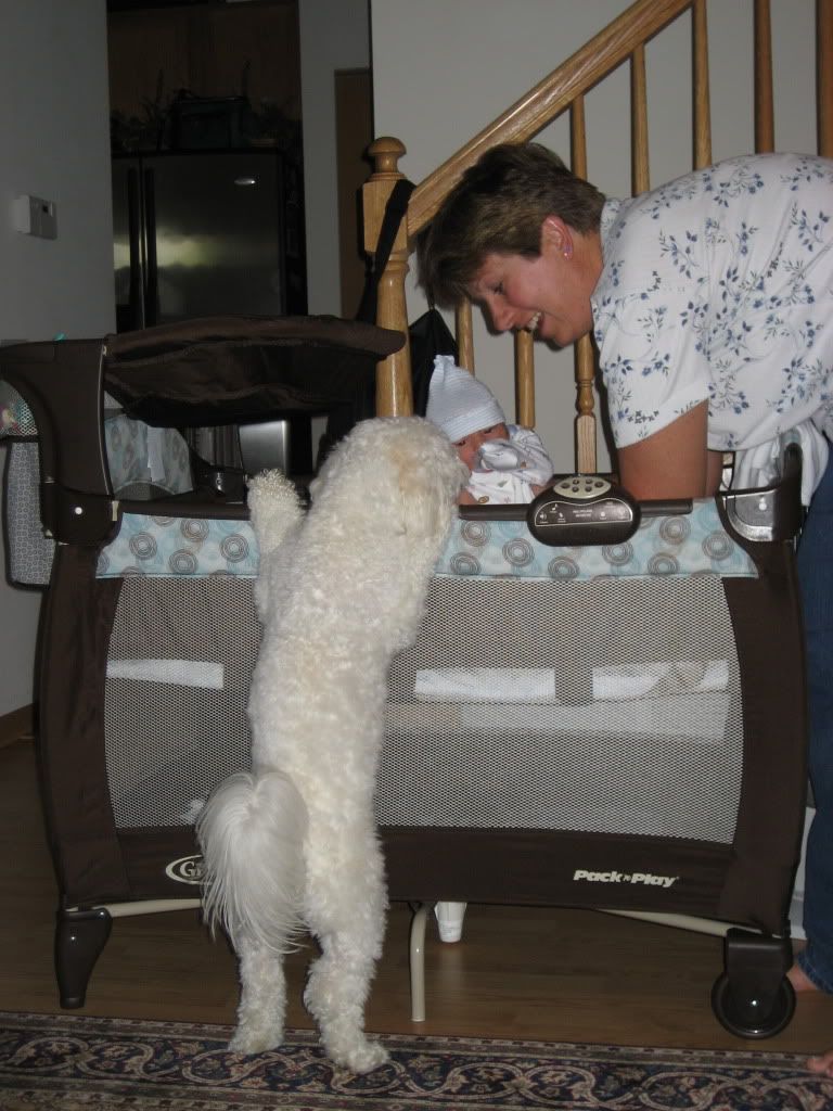 IMG_4499.jpg picture by flyer1982