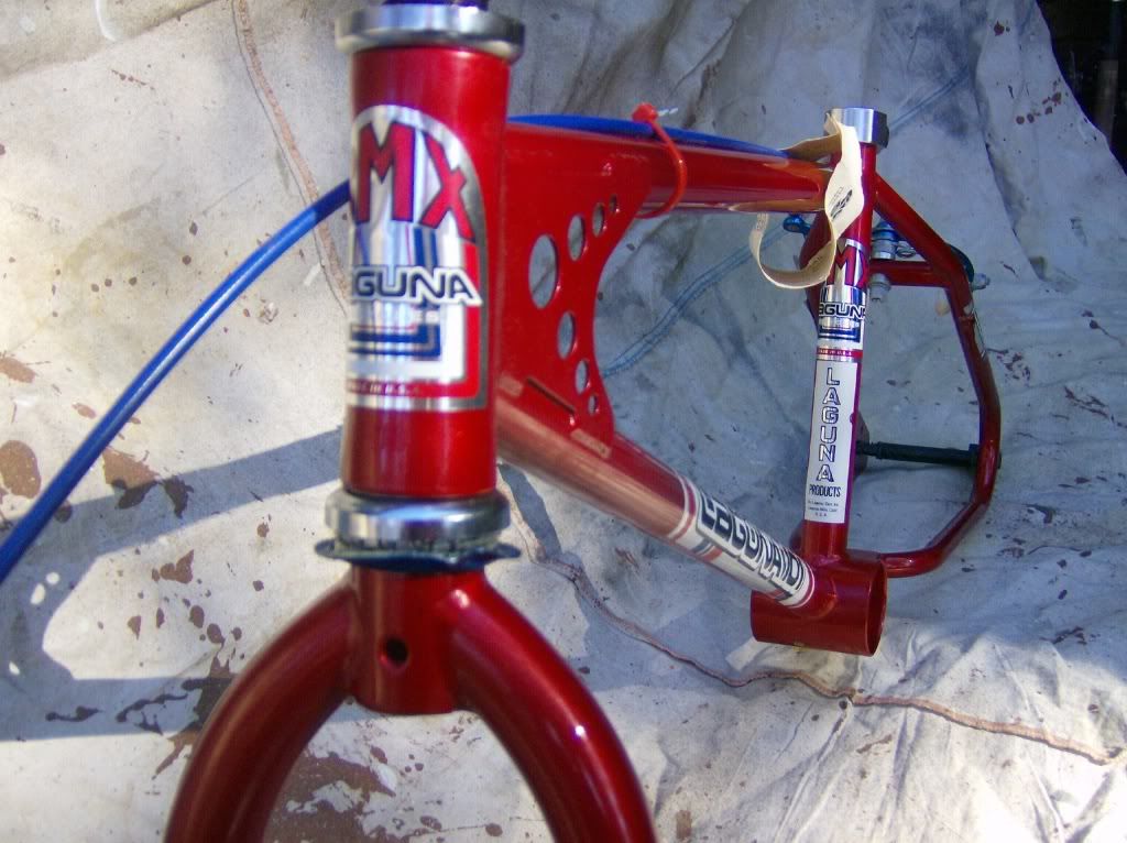 UNKNOWN frame , looptail , 3 hole gusset , low serial number HELP