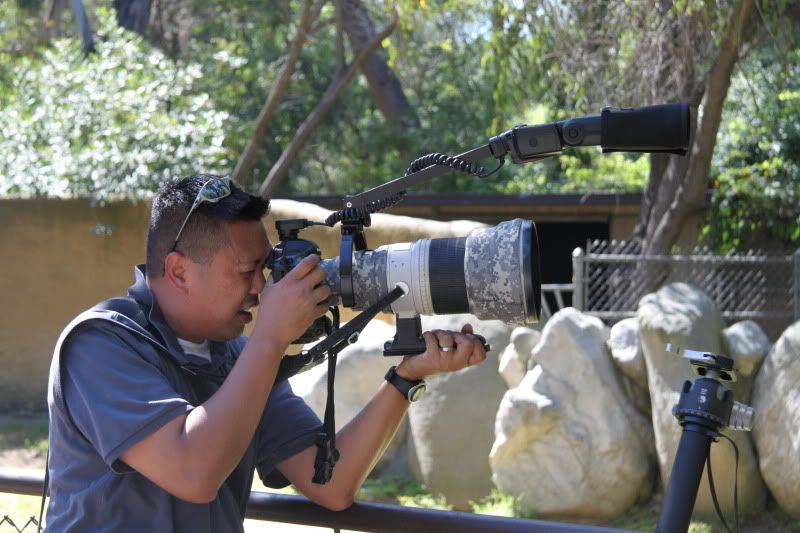 IMAGE: http://i250.photobucket.com/albums/gg252/firebuff7/LA%20Zoo/b7cc701c.jpg