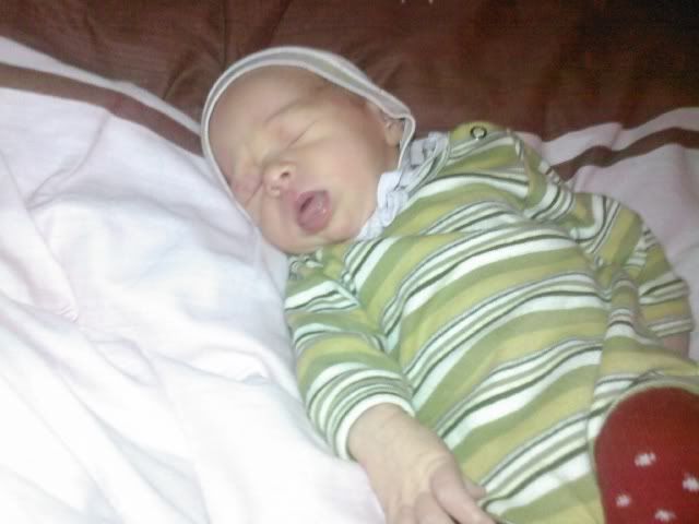 evelina
