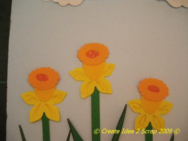 Daffodil Garden 02