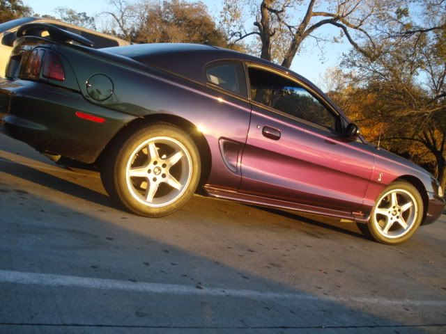 DSC01566.jpg