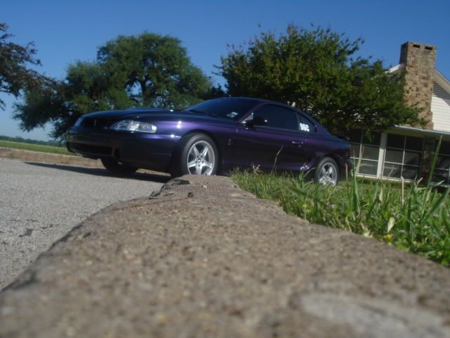 DSC01854.jpg
