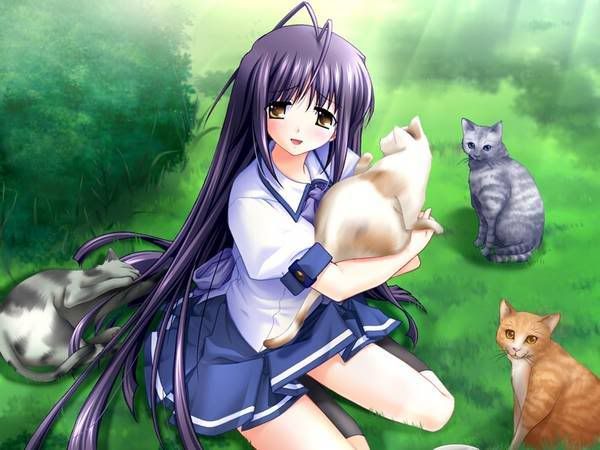 catgirl.jpg