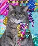 thhappybirthday1-1.jpg Happy Birthday Kitty! image by tmac4487