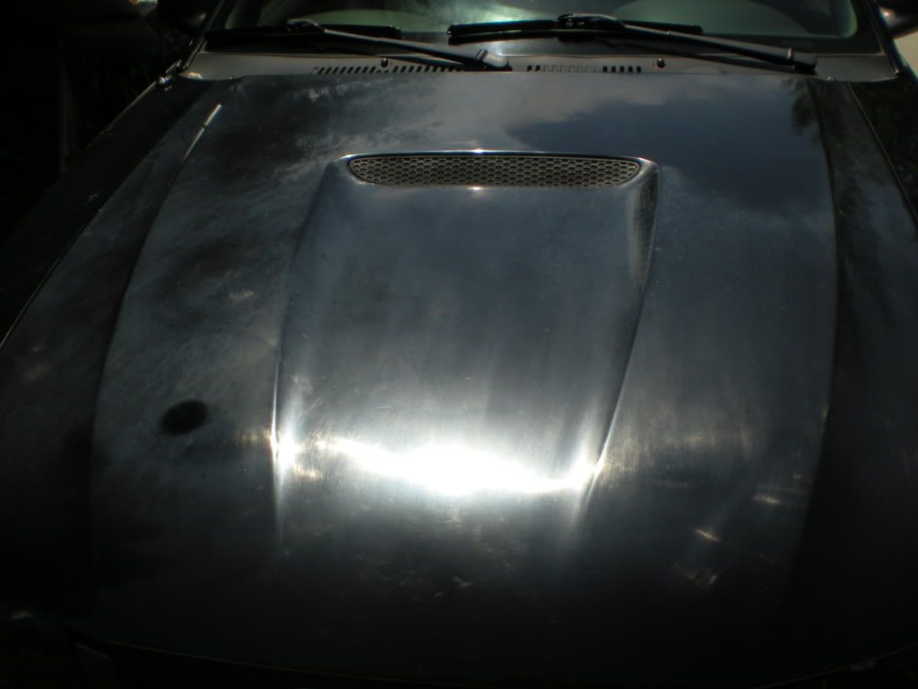 DSCN0686.jpg