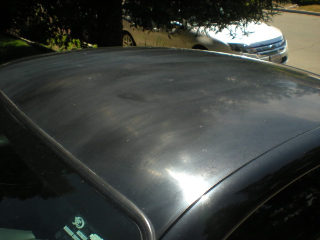 DSCN0687.jpg