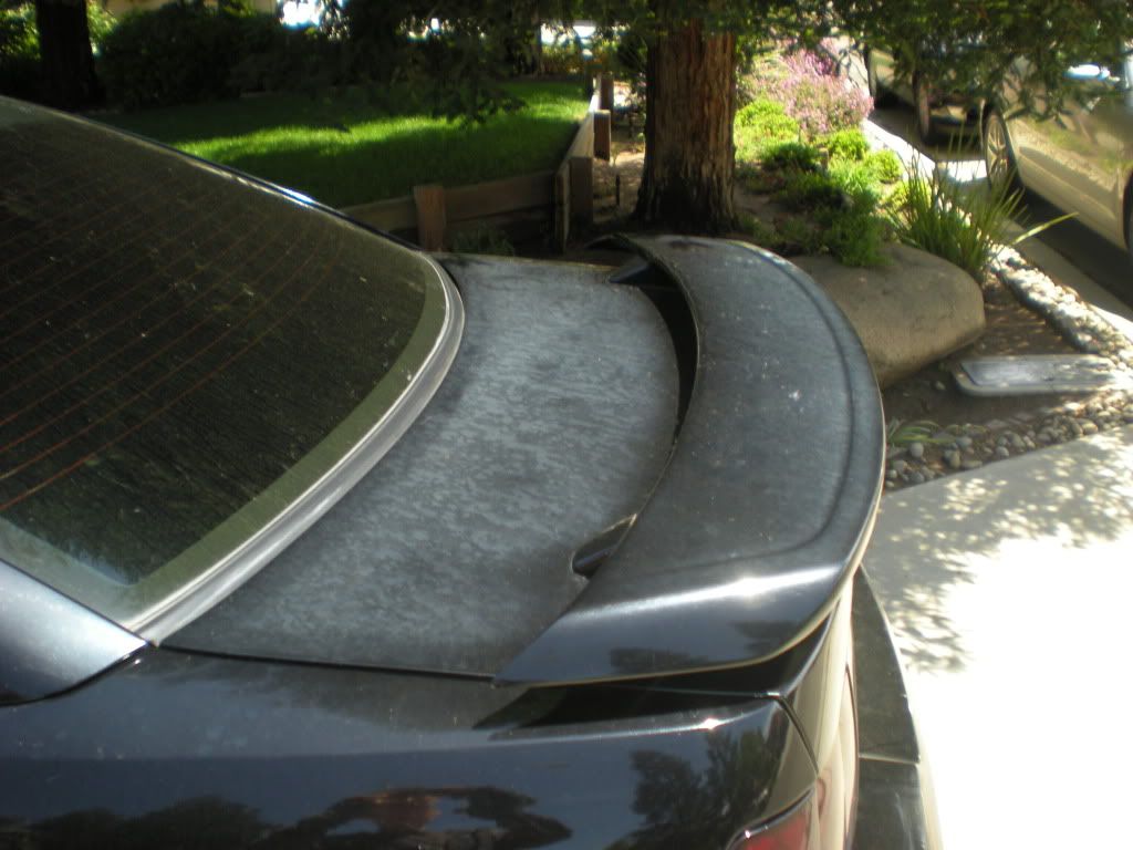 DSCN0688.jpg