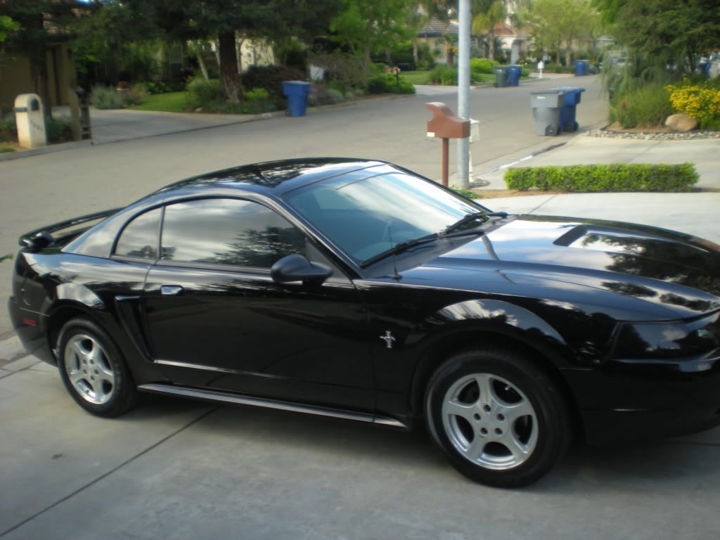 DSCN0706.jpg