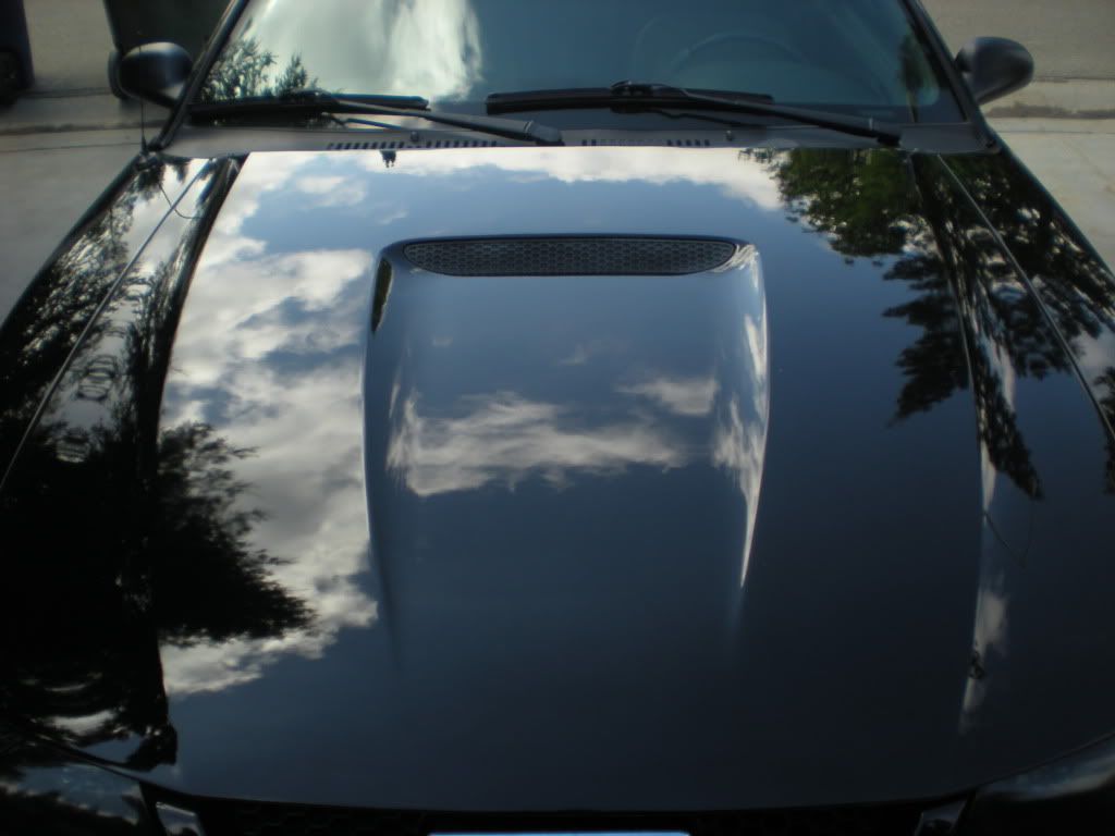 DSCN0707.jpg