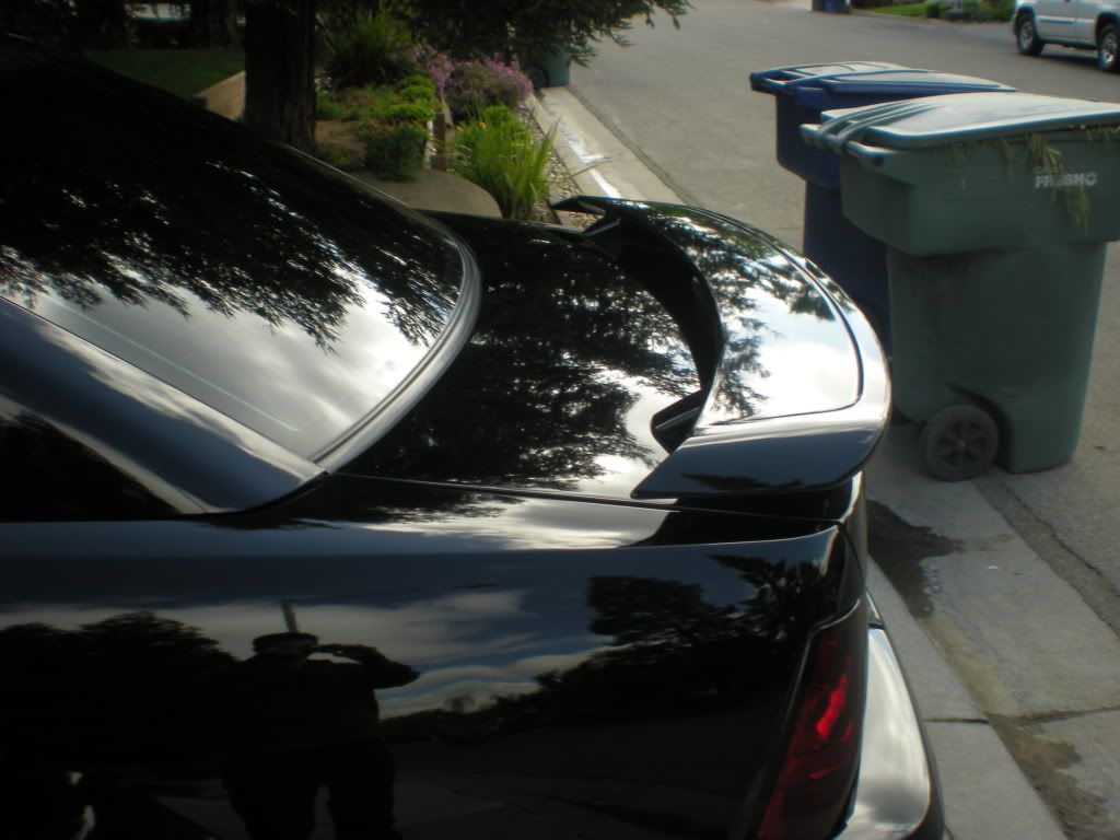 DSCN0710.jpg