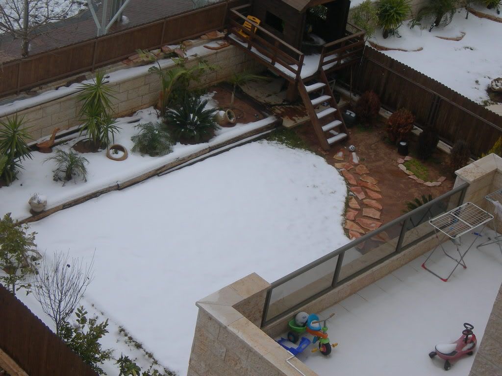 DSCN2842.jpg picture by anne06693