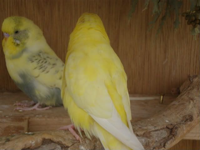 PB030177.jpg