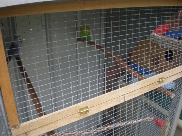 PB050195.jpg