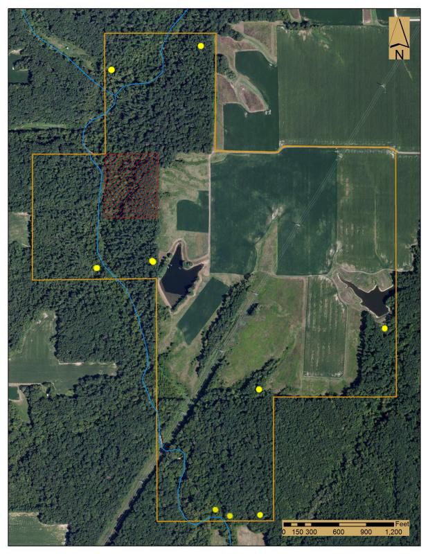 Tips for hunting midwest whitetails Archery Talk Forum