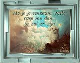 thth144455319_5_YcBo.jpg eenzaam picture by linekeloer