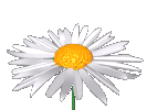 Margriet20draaiend.gif picture by misconcursos
