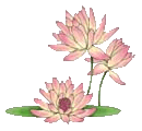 blomma_9.gif picture by misconcursos