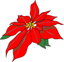 poinsettia.gif picture by misconcursos