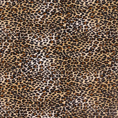 Leopard Background on Leopard Background Picture By Rockstarcustoms   Photobucket