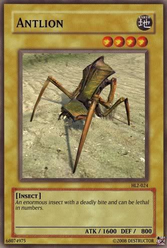 Antlion.jpg