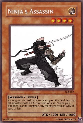 ninjasassassin.jpg
