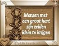 141878480_4_vaSS.jpg spreuk image by hennieschra
