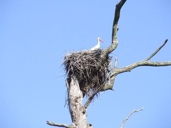 Quinta Fernao Leite A Pictures, Images and Photos