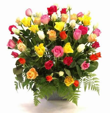 50rosas20surtidas-1.jpg RAMO DE FLORES BOTONES image by baramosl